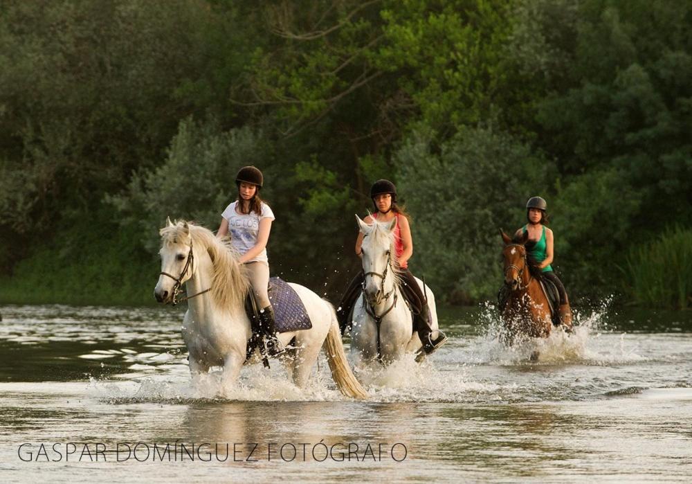 Huerta  Complejo Oasis Beach Sobre El Rio מראה חיצוני תמונה