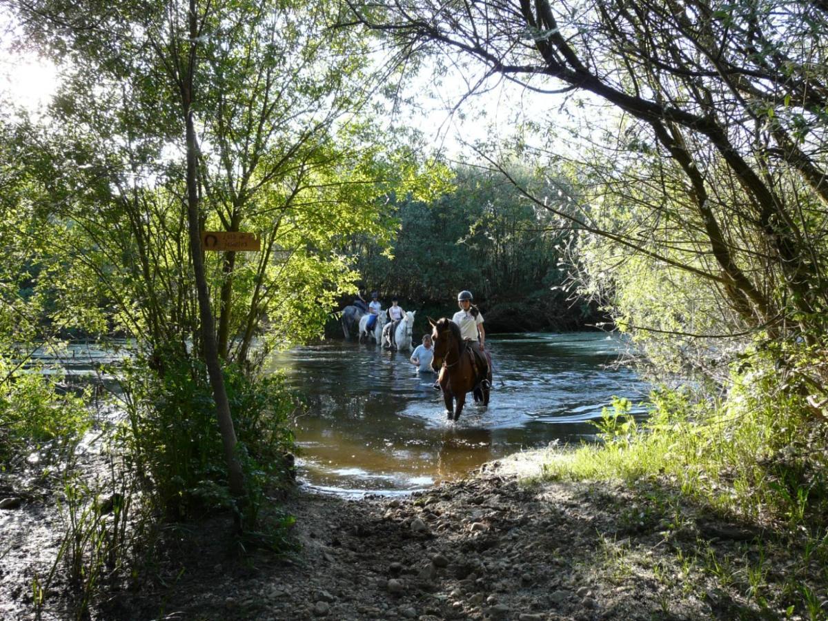 Huerta  Complejo Oasis Beach Sobre El Rio מראה חיצוני תמונה