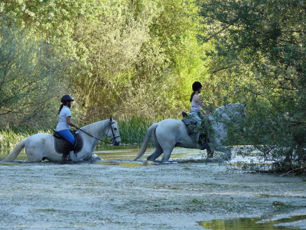 Huerta  Complejo Oasis Beach Sobre El Rio מראה חיצוני תמונה