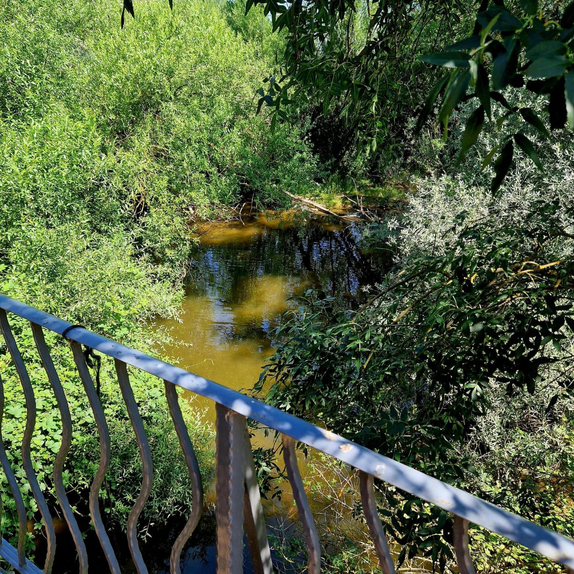 Huerta  Complejo Oasis Beach Sobre El Rio מראה חיצוני תמונה